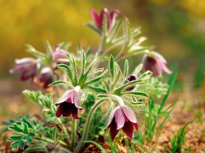 Мои понедельники