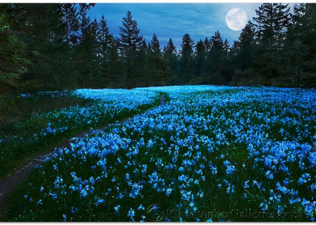 Июльский вечер