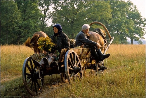 Эх деревня, деревня моя