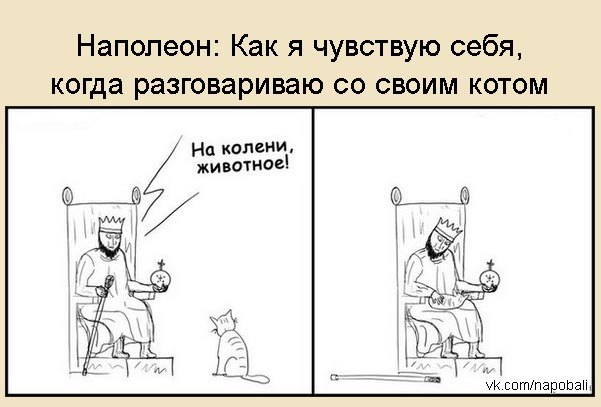 Наполеон в пробирке