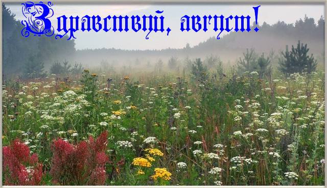 Здравствуй август