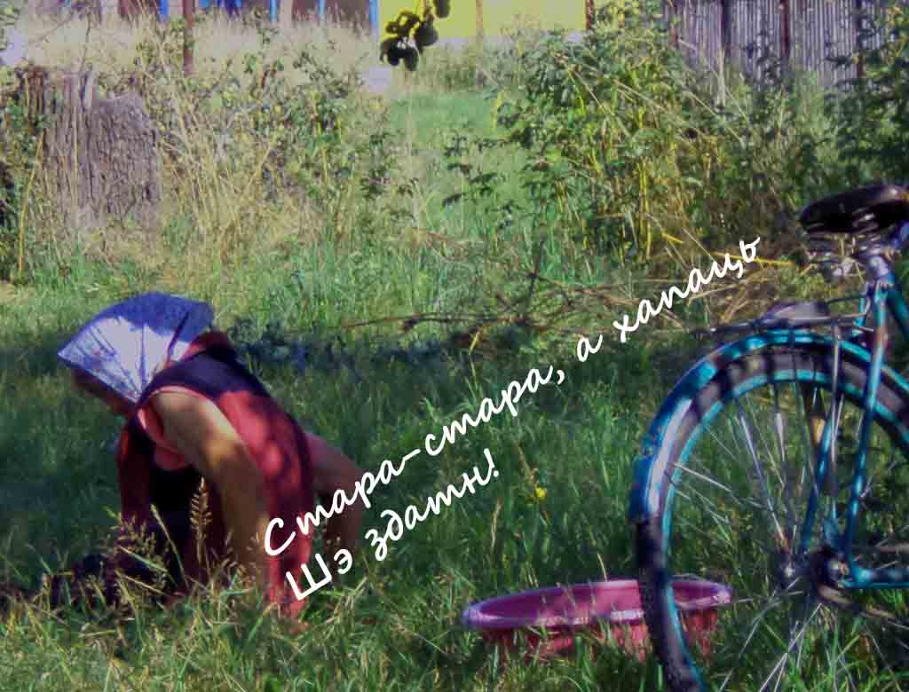 Тары но шчось в бабы, иш, замало,