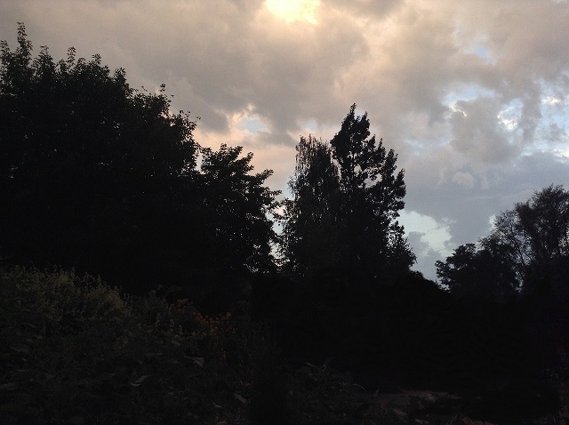 Мне любо жить на свете