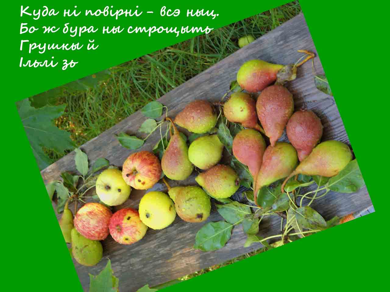 Што делают монс3кы в кинах