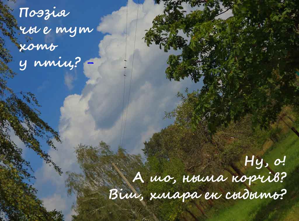 Чы ты бытый чы трутынь