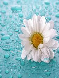 Летний дождь