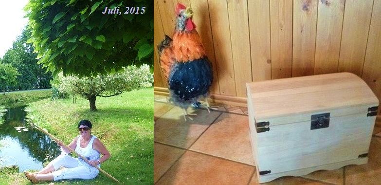 Nach Loesungen suchen