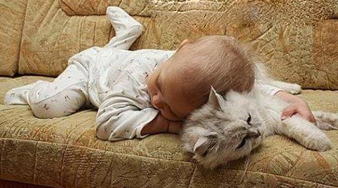 Появился друг