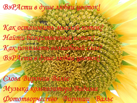 ВзРАсти в душе любви цветок!!