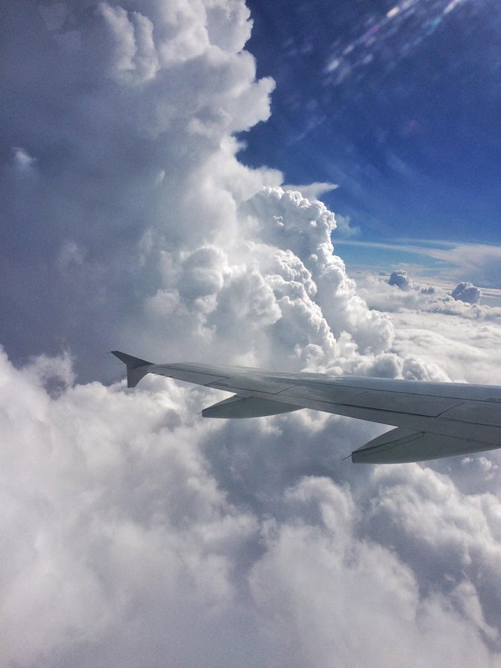 Фрагмент из О полетах