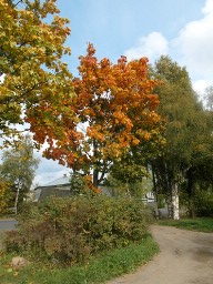 Наигрался...