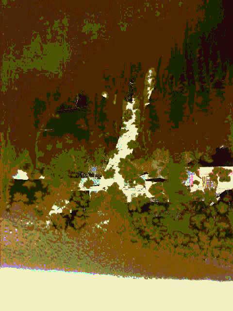 Берёз светлый лик