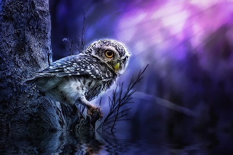 Ни в чем она не виновата...