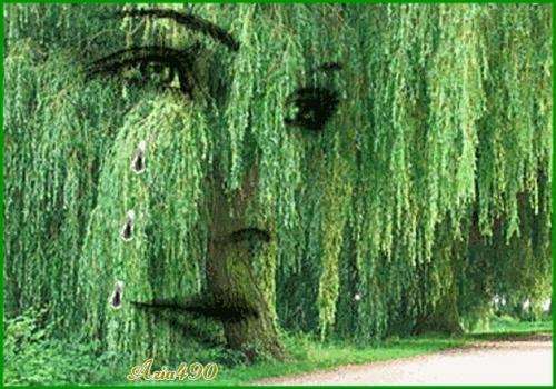 Просто полюбила