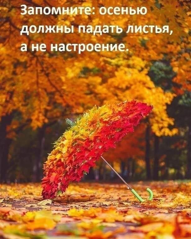 Вернулась из отпуска осень или Почему плачет осень