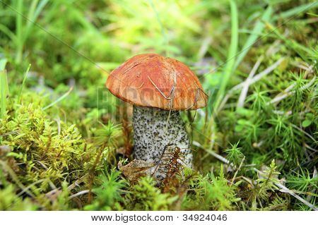 Дождь очистит воздух