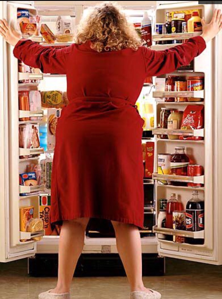 эротическая баллада холодильнику