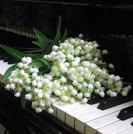 Помню-поэтическая версия акции Бессмертный полк 2