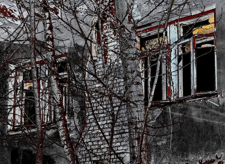 Экспромт на фото - Усадьба купца Петра Хрящева 9