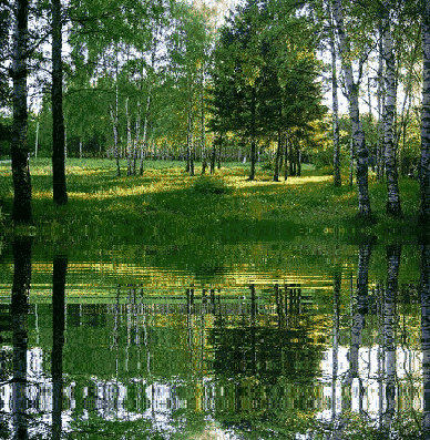 Заблудился