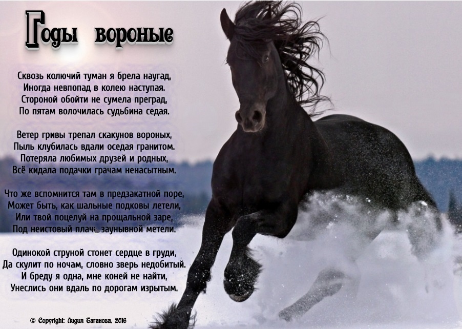Конь ворон песня текст. Стихи про лошадей. Стих про коня. Стихи про лошадей красивые. Стихи о коне лошади.