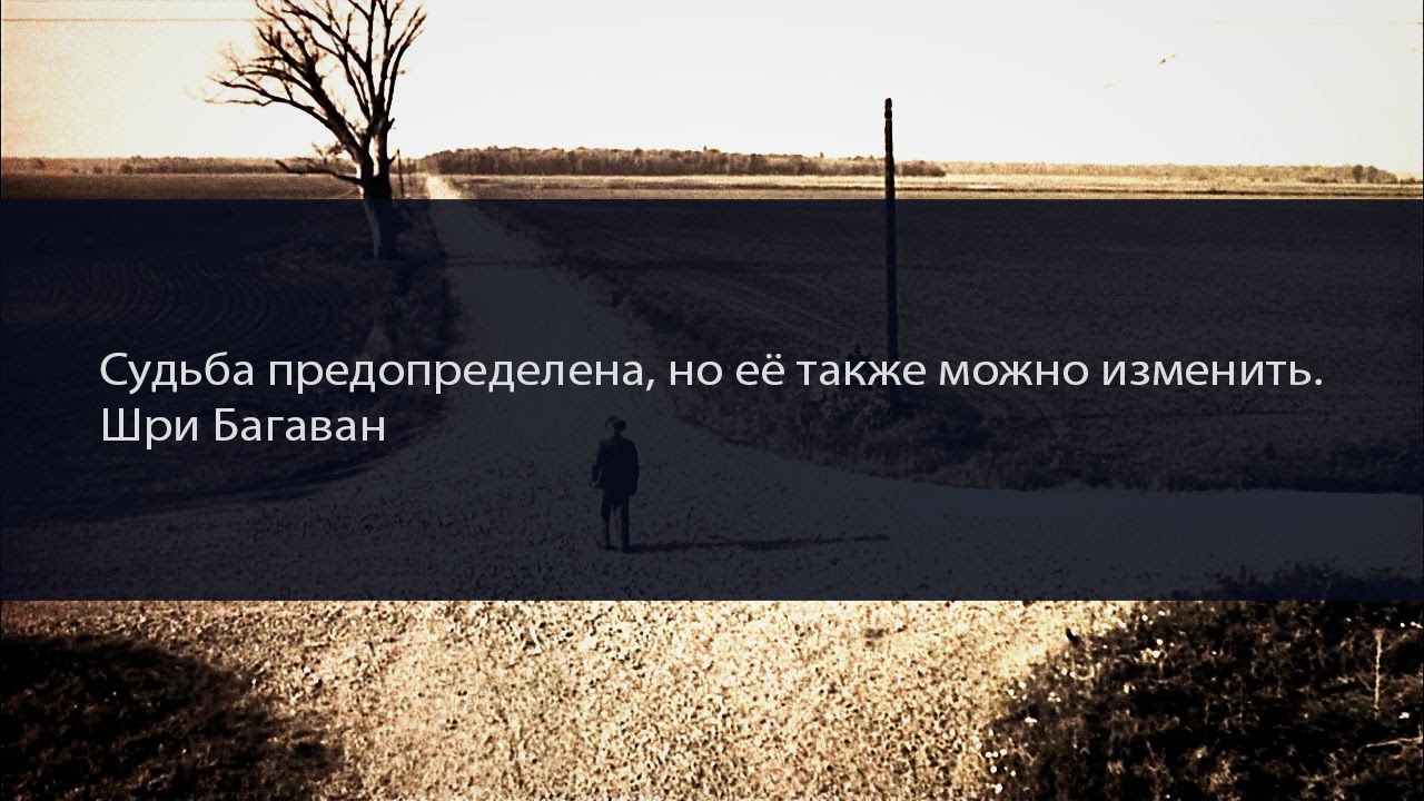 краткосрочные стратегии носят название. планирование является функцией. принятие риска пример. люди не меняются цитаты. живой русский язык.