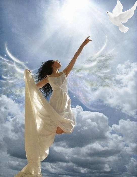 В моей печали невесомой...