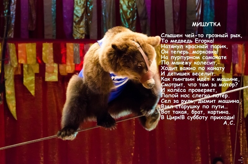 Мишутка