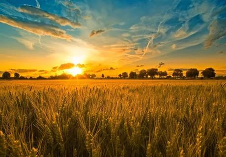 Украина. Донбасс. Свой дом