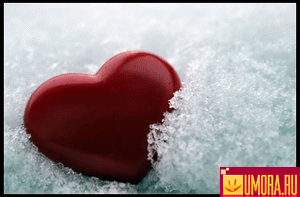 Прощение... личное