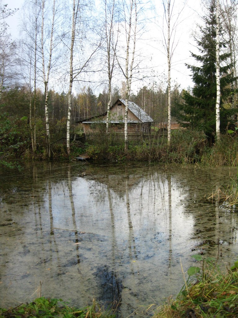 Шорохами листьев, шёпотами ветра