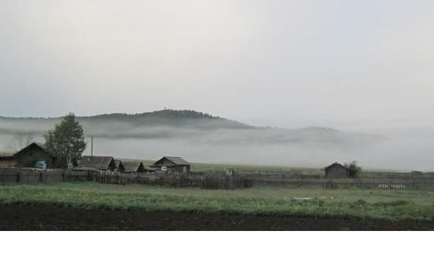 Грибной туман