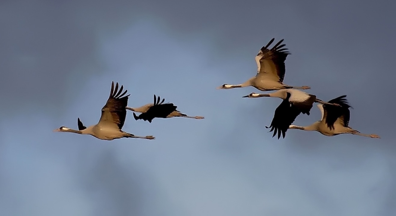 Один из всех