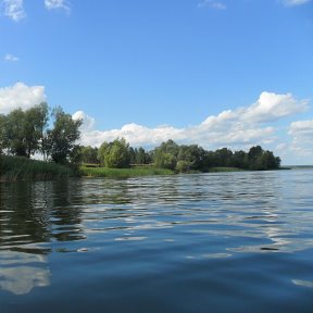 В речке облачко купалось