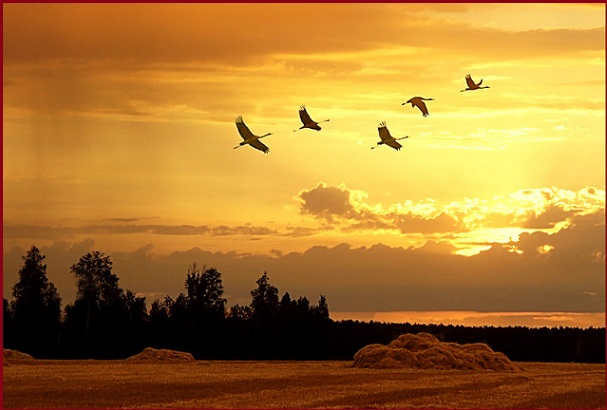 Вот и лето пролетело