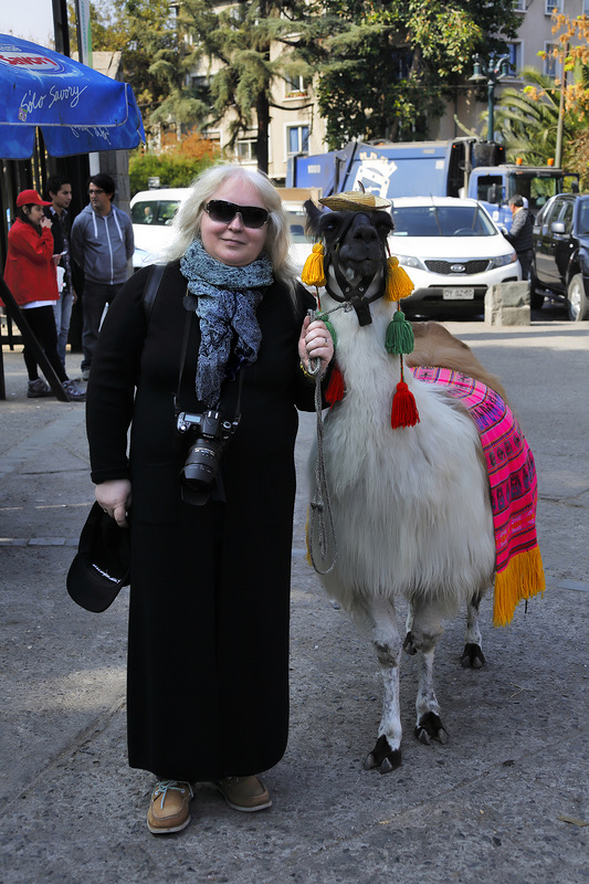 Дама и драма