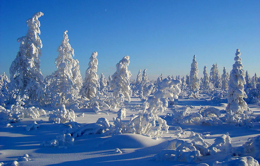 Зима играется с ветрами