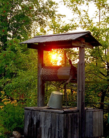 И вновь курлычут журавли...