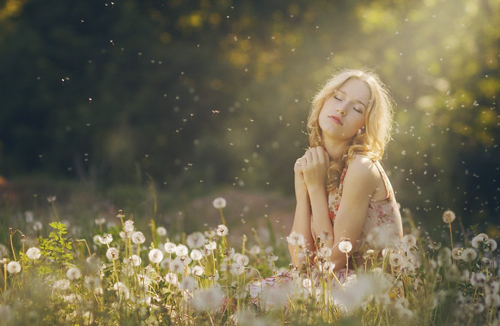 Астры в осеннем саду...