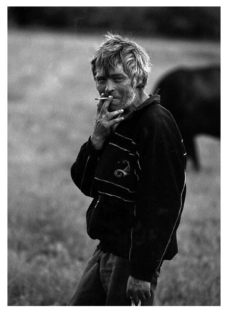 Твори поэт пока живёшь...