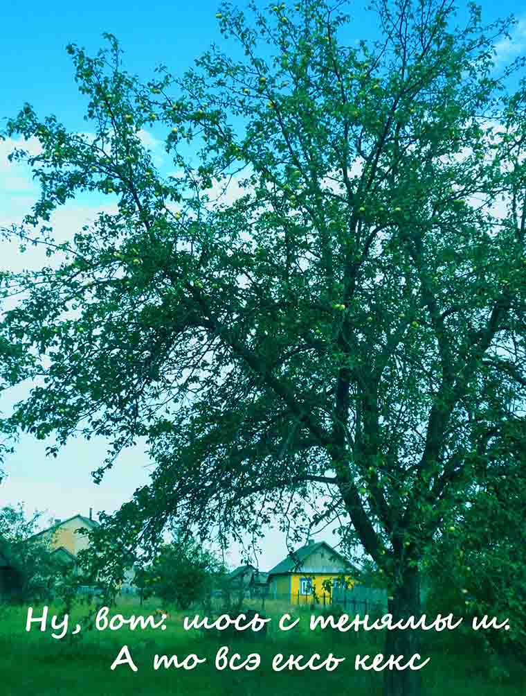 Если ты шэ не счез