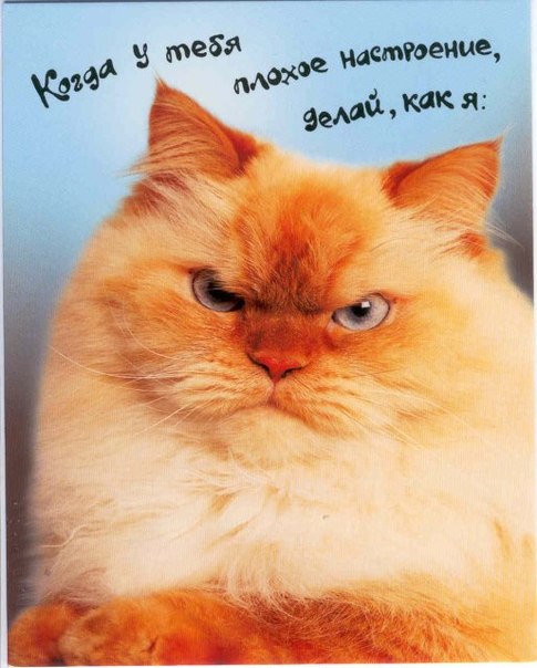 Настроение