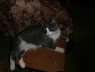 Курортный роман