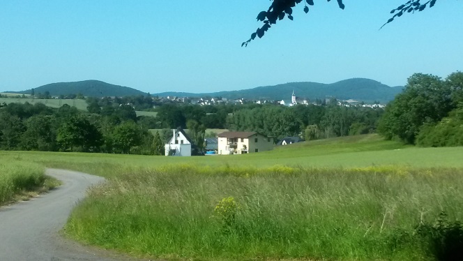Мне не увидеть тех лугов