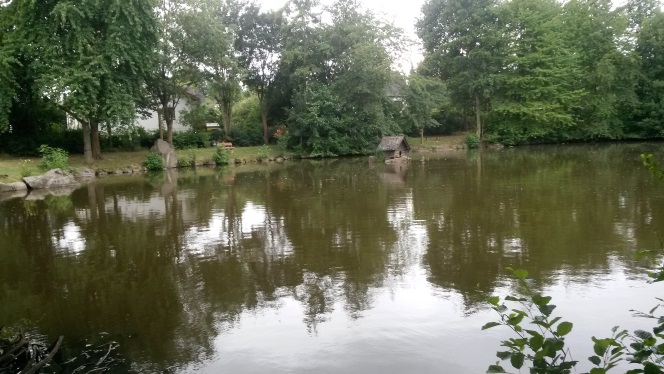 Не жди меня, забытый пруд