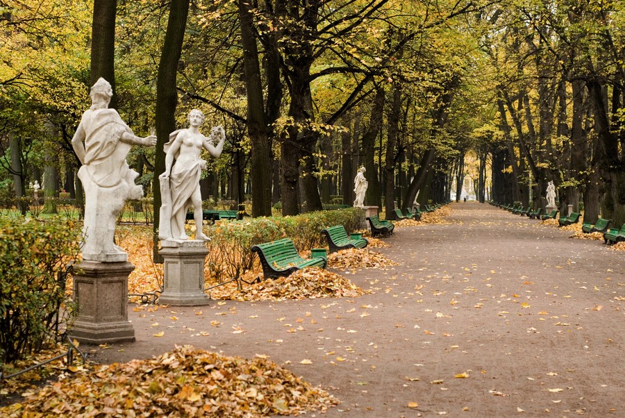 осенью в летний сад