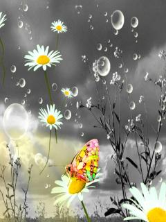 Если вам уже за сорок