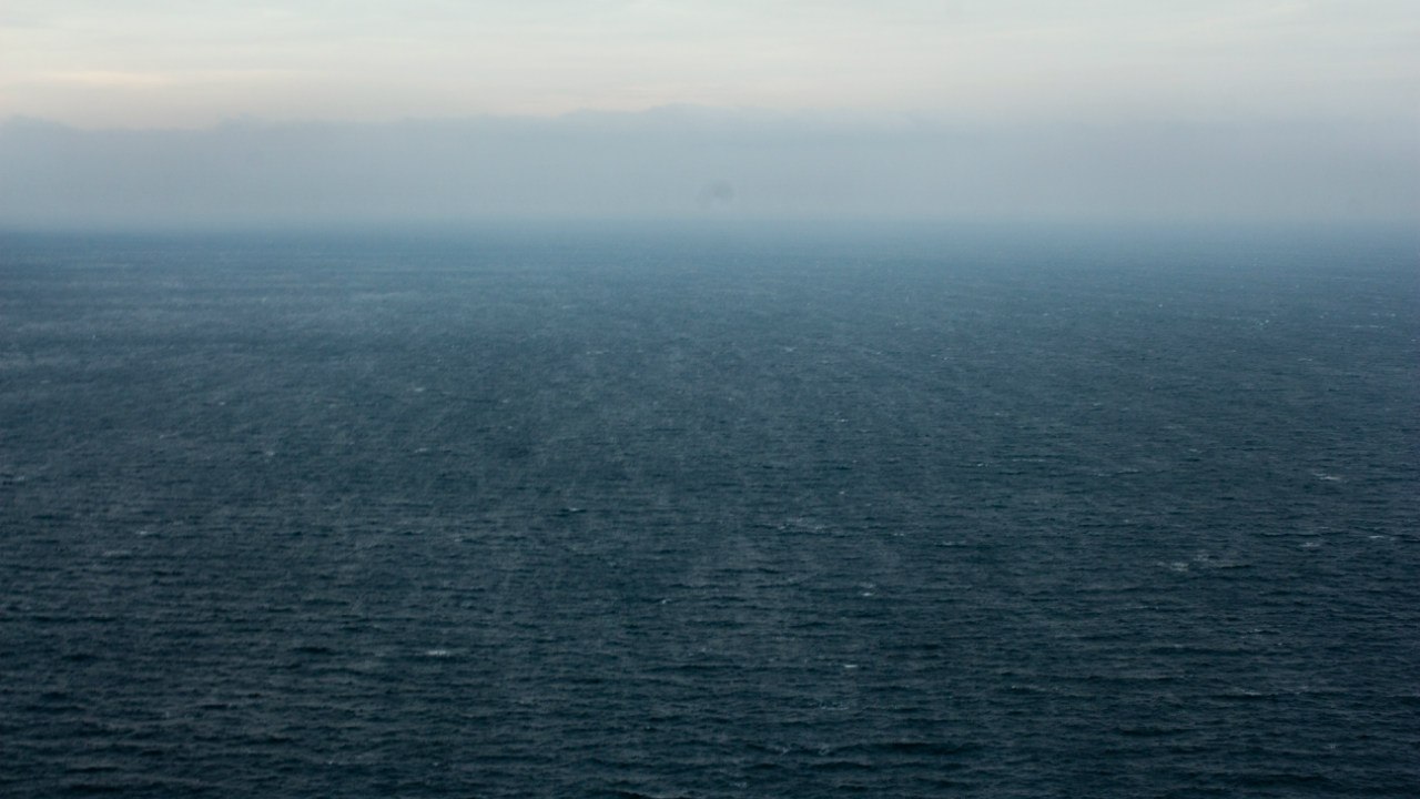 Мой Человек