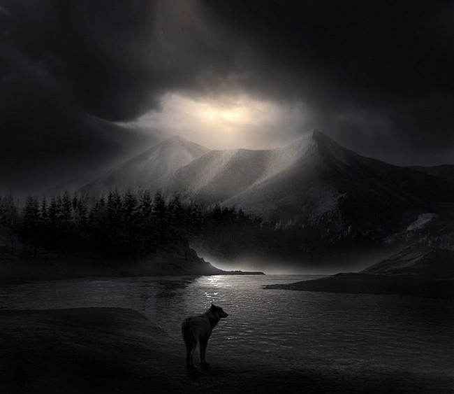 Там, за дальней границей...