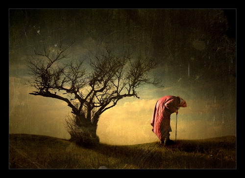 Жизнь моя...